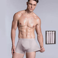 4 Pcs Men's Silk Boxer Briefs Underwear Grey