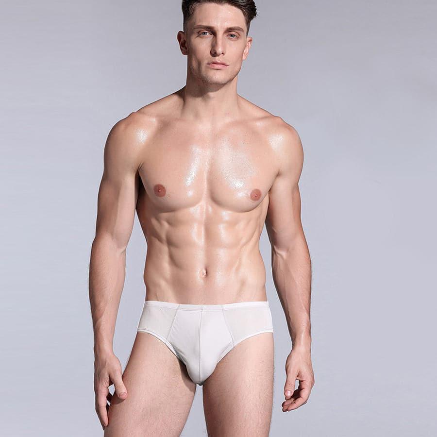 Men's Triangle Silk Boxer Briefs Underwear White