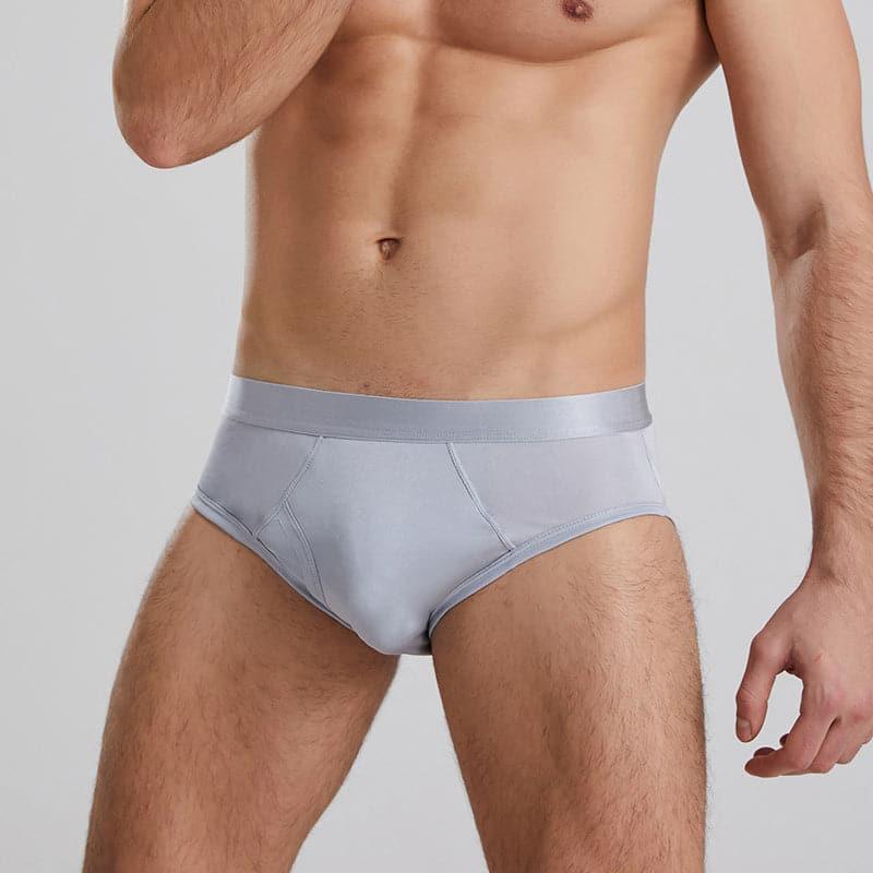 Silk Briefs for Men Grey
