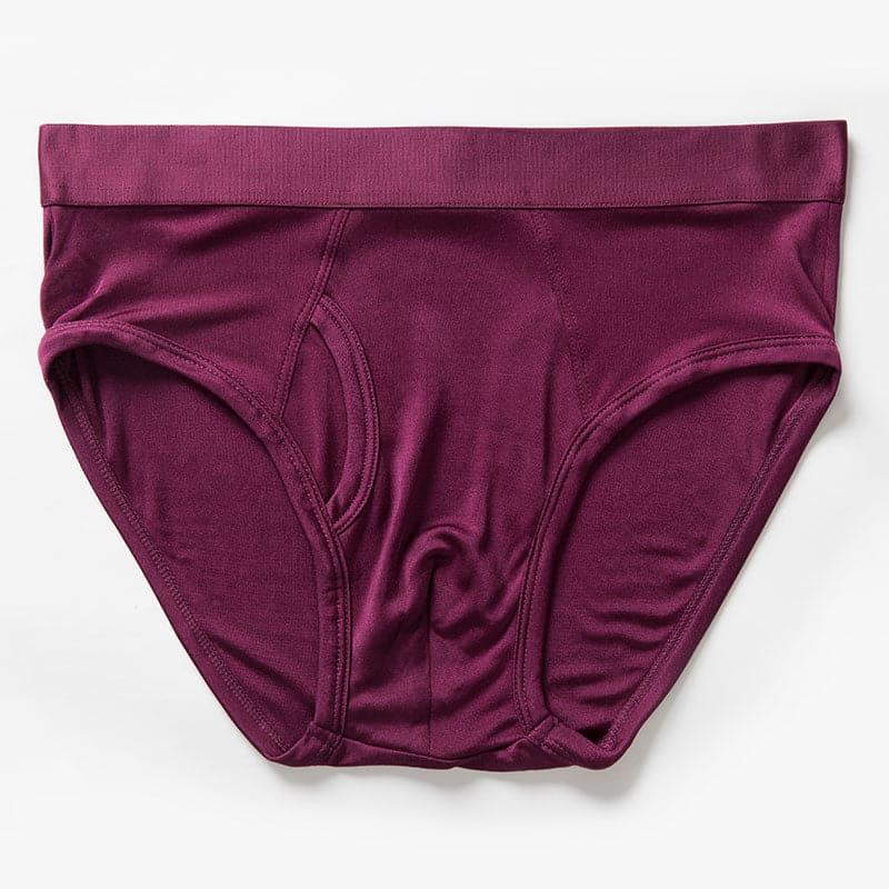 Silk Briefs for Men Red