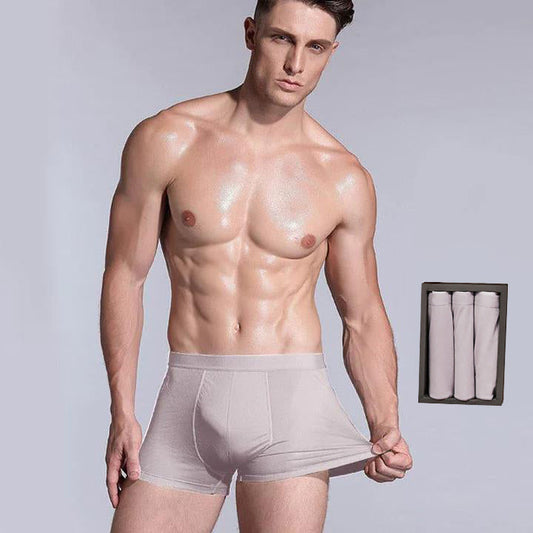 3 Pcs Men's Silk Boxer Briefs Underwear